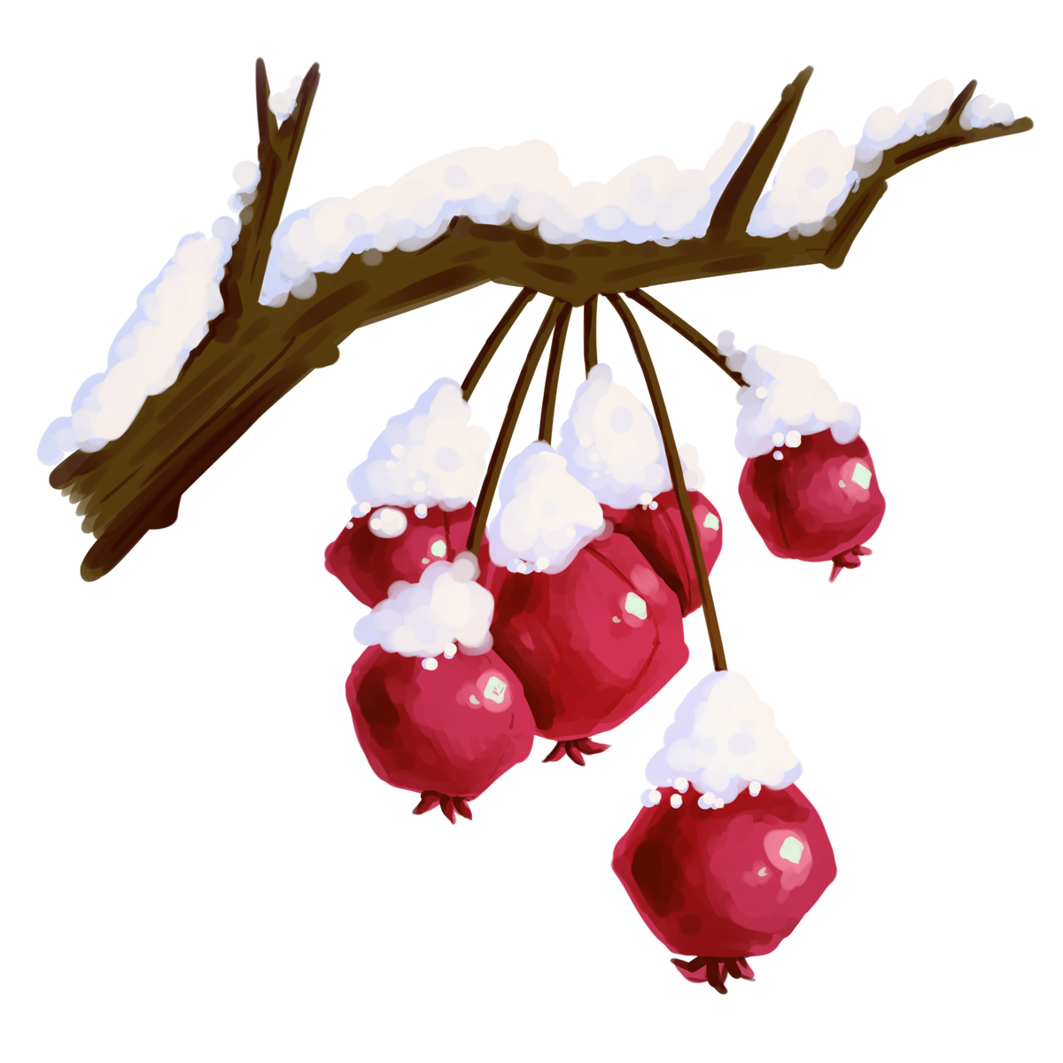crab apple